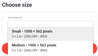 Selecting a size for the image